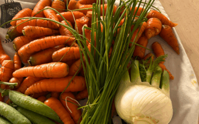 Récolter : Ce que la terre m’a appris cet automne